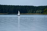 seliger04.jpg