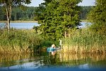 seliger08.jpg